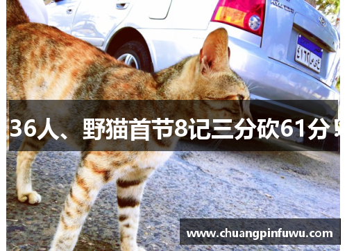36人、野猫首节8记三分砍61分！